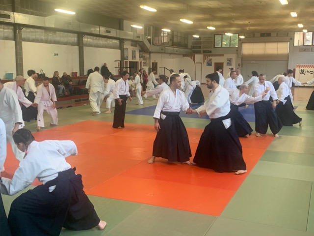 StageAidaLaLoggia %20 %2040 .jpeg