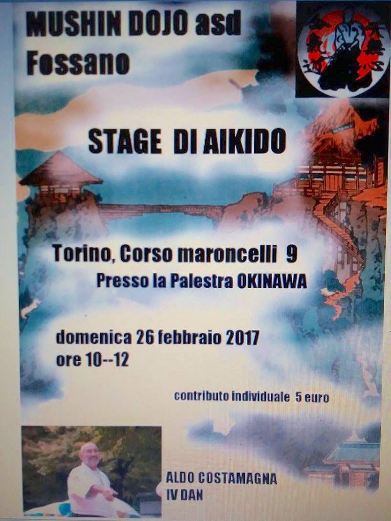 StageMushinTorino2017
